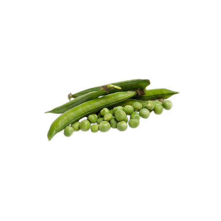 PETIT POIS 500GR