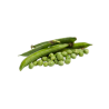 PETIT POIS 500GR