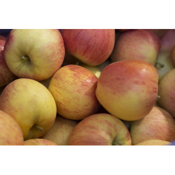POMMES GALA SACHET 2 kg