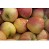 POMMES GALA SACHET 2 kg