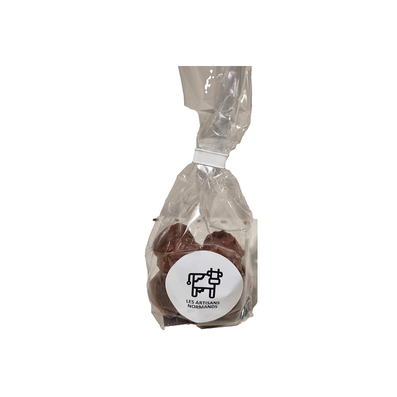 SACHET ROCHERS PRAL LAIT 100G ARTI NORM