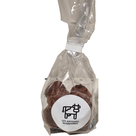 SACHET ROCHERS PRAL LAIT 100G ARTI NORM