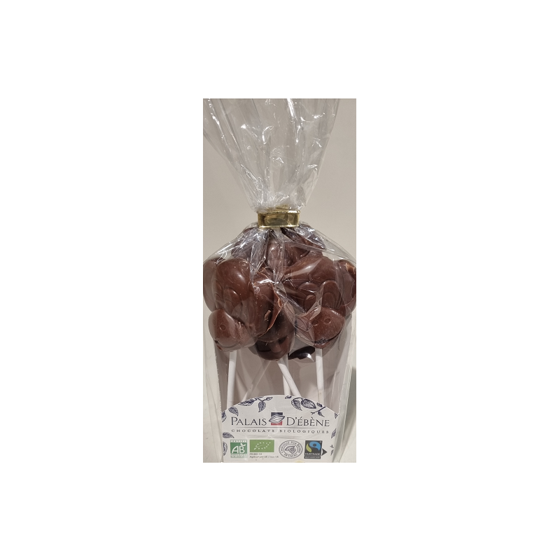 SUCETTES CHOCO LAIT P.EBENE LAIT 75G Pa