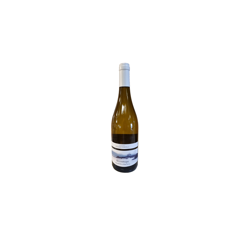 MUSCADET ACOSTAGE 75cL MENARD GABORIT