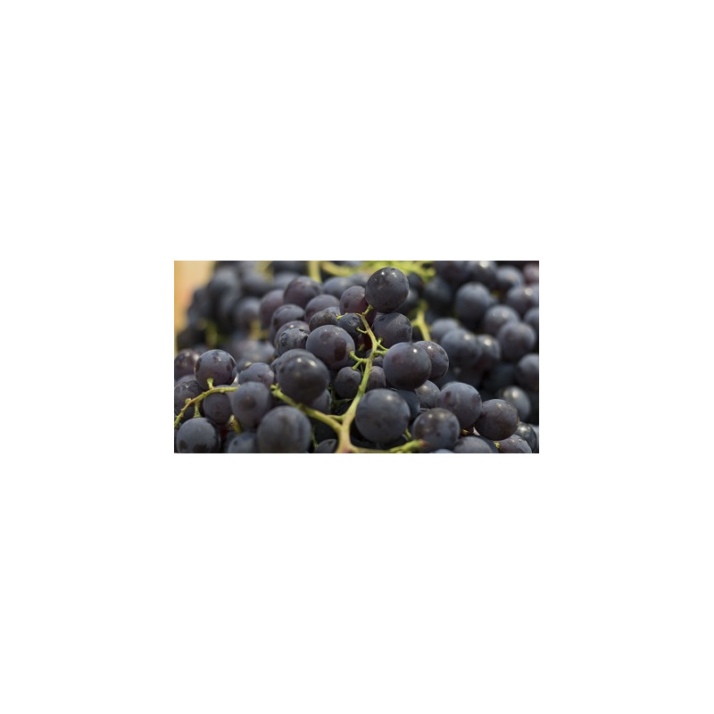 RAISIN NOIR MUSCAT 500g